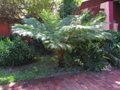 guest-house (16)